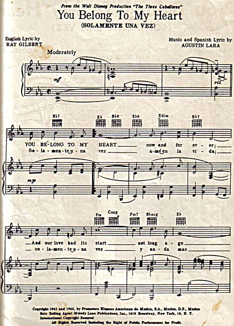 You Belong To My Heart